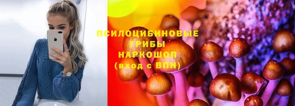 амф Алексеевка