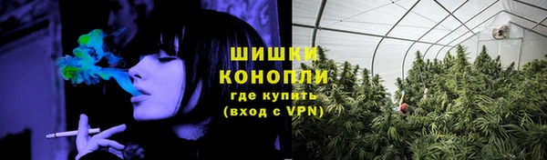 сатива Абинск