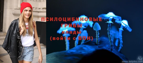 сатива Абинск