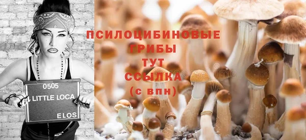 амф Алексеевка