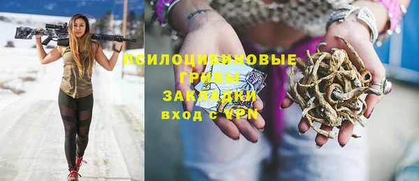 амф Алексеевка