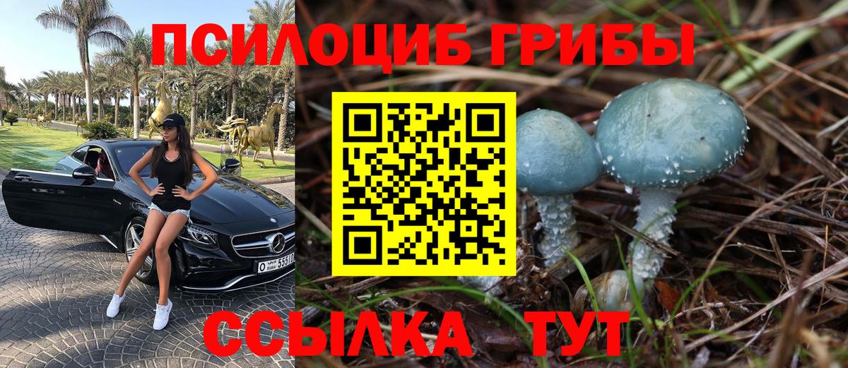 Красноярск  Псилоцибиновые грибы Magic Shrooms  Вход с VPN 